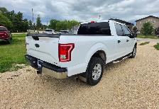 2016 Ford F-150 XLT SUPERCREWCAB 5.0 COYOTE/LOW KM/ - Photo 14