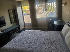 Rate starting at $350 Weekly and $1400 Monthly - Photo 2