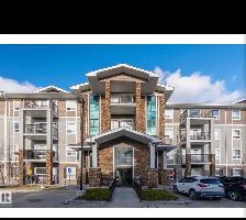 Appartment on rent