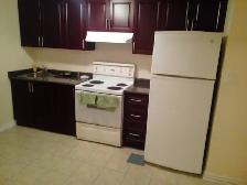 1 Bedroom basement Walkout Apartment Toronto, utilities included - Photo 3