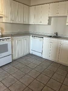 2 bedroom den & 2 bedroom for Sept 1st - Photo 4