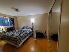 Bright & Furnished Room for rent for Male Carleton Students - Photo 3