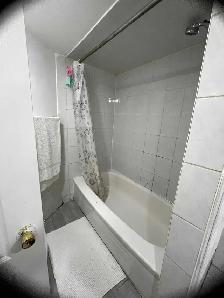 Modern 1-BRB Near York U & Transit – All Utilities Included! - Photo 5