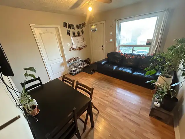 McMaster Student House - Female Only Short Term Rental