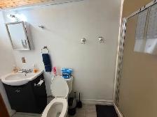 McMaster Student House - Female Only Short Term Rental - Photo 7