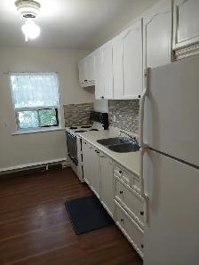 2 Bedroom Apartment for Rent - Photo 4