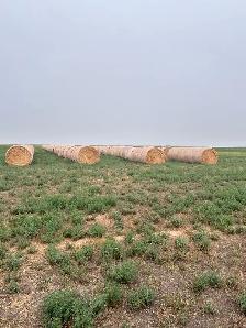 Alfalfa/Hay Bales