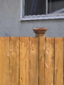 Professional Carpentry/ Handyman Services - Photo 3