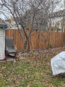 Professional Carpentry/ Handyman Services - Photo 9