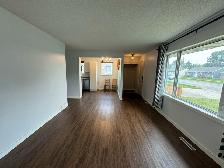 3 Bed 1 Bath House For Rent In Silver Heights - Photo 5