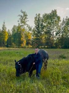 5 yr QH/Percheron Mare - Photo 3