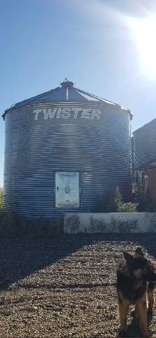 Grain Bin