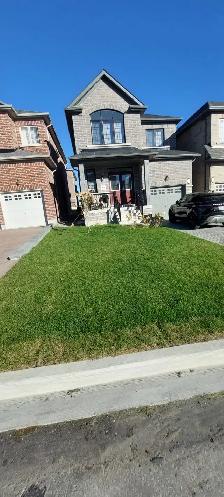 2 BR Basement Apartment for Rent - Oshawa North