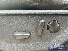 2023 Ford F-150 XLT 4x4 SuperCrew 5.5' Box - Photo 11
