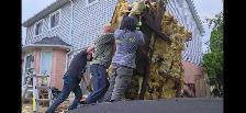 Furniture delivery/ Junk Removal - Photo 4