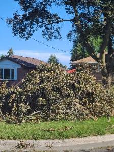 Furniture delivery/ Junk Removal - Photo 7