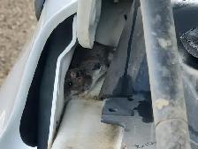 2014 Ram 1500 - Photo 33