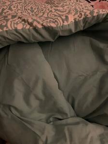 Queen Comforter - Photo 4