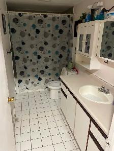 Chambres à louer lire tout svp