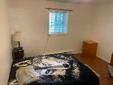 Chambres à louer lire tout svp - Photo 10