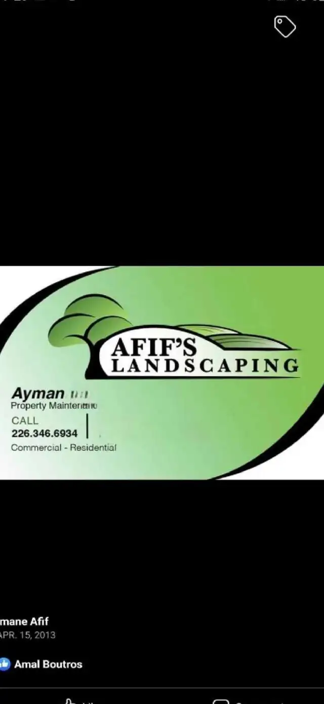landscaping Sod lawn grass cutting trimming yard clean dumps