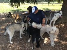 Pro Dog Walking – 10  Years Experience – Etobicoke & Mississauga - Photo 6