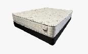 The Mattress Your Back Has Been Dreaming Of