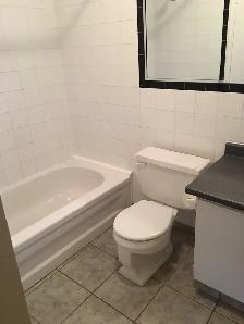 Renovated 3-Bedroom, 3-Bathroom Townhome in St. Catharines- - Photo 5