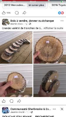 Bois en vente maintenant et le 28-29 Novembre 2026