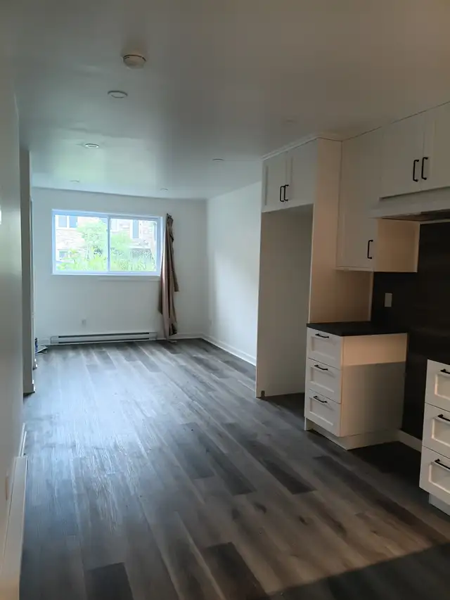 3 et demi longueuil, laveuse et secheu inclus ou non ds logement
