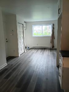 3 et demi longueuil, laveuse et secheu inclus ou non ds logement - Photo 7