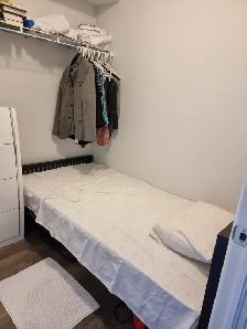 Furnished Rooms Rent in a 3-Bedroom, 2-Bathroom Luxury Condo - Photo 10