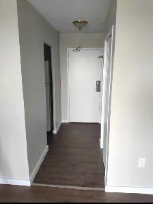 Room for rent London Ontario , 573 mornington ave - Photo 4