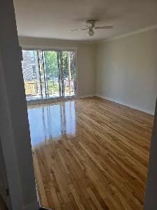 3 1/2 metro iberville , voisinage paissible , disponible