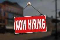 Looking for South Indian Chef