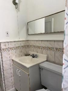 Superbe très grand 5 1/2, rez de chaussé, St-Sauveur, libre - Photo 14