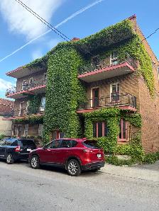 Superbe très grand 5 1/2, rez de chaussé, St-Sauveur, libre - Photo 20
