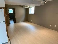 2 Bedroom Lower Unit All Inclusive w/ AC, laundry,1 parking spot - Photo 8