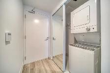 Downtown Toronto 1 Bed 1 Bath Condo for Rent at Dundas Universit - Photo 9