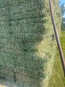 Small square hay bales - Photo 2