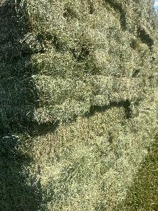 Small square hay bales - Photo 3