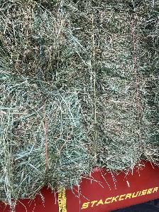 Small square hay bales - Photo 4