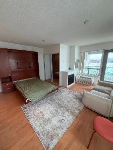 CONDO Studil fully furnished Long or Short term Yonge & Sheppard - Photo 5