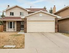 Room for rent near West Edmonton Mall (male)