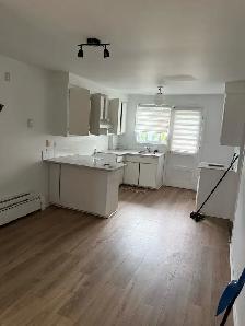Longueuil Grand 4 1/2 - Photo 2