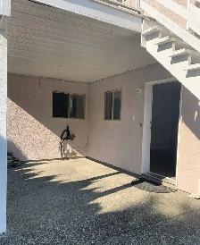 Large 2 bedroom ground level suite available for rent Sept. 1st! - Photo 8