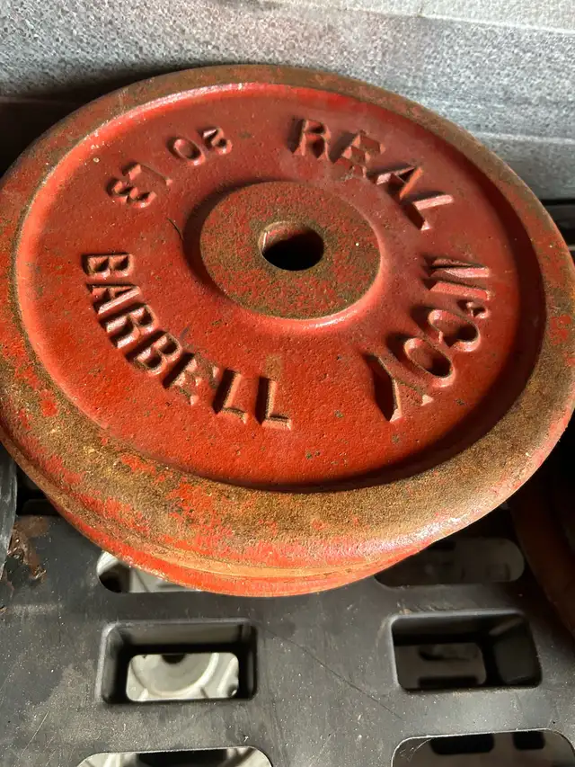 steel weights