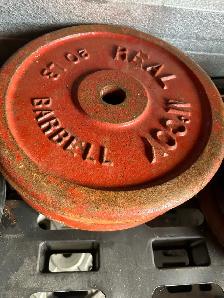 steel weights
