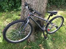Garneau Rapido 242 Mountain bike 24" / vélo de montagne