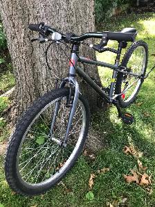 Garneau Rapido 242 Mountain bike 24" / vélo de montagne - Photo 3